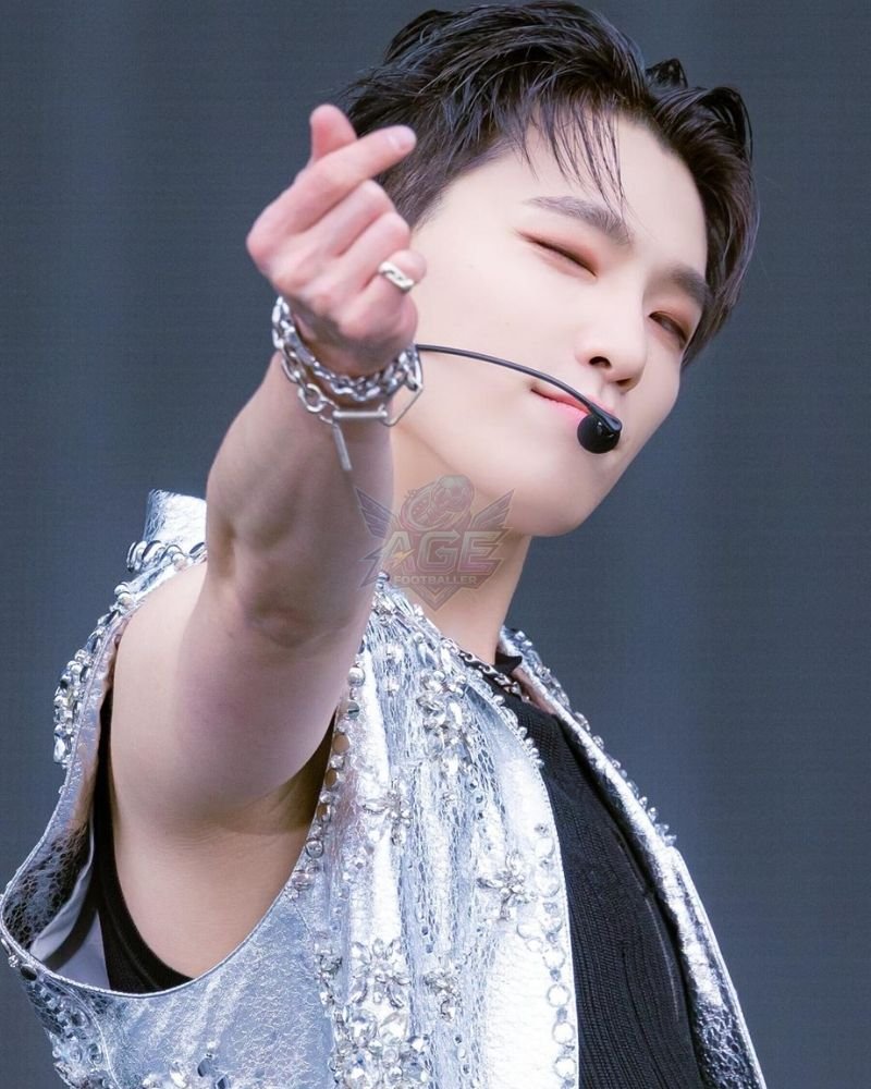 Dino Seventeen Age, Height, Networth, Songs and Wiki/Bio