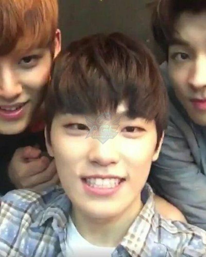 Dino Seventeen Age, Height, Networth, Songs and Wiki/Bio
