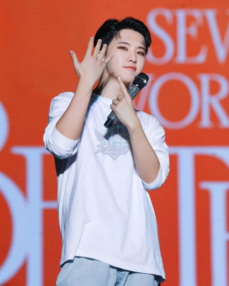 Hoshi Career