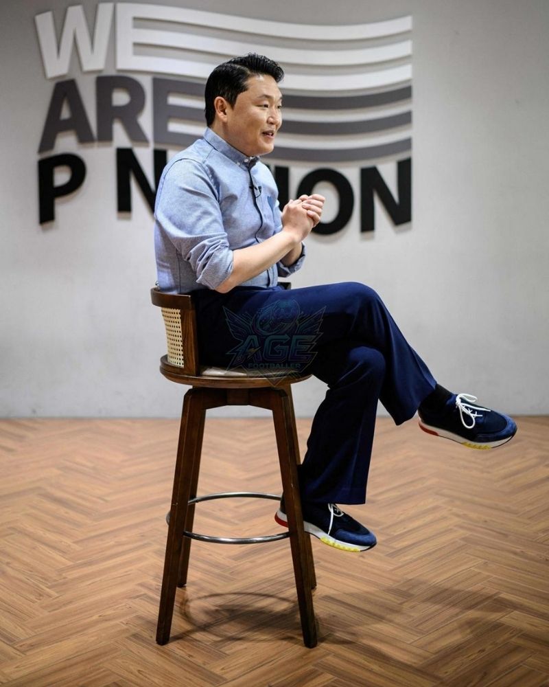 Psy Net Worth