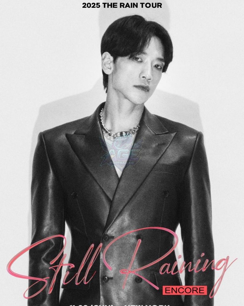 Rain Net Worth