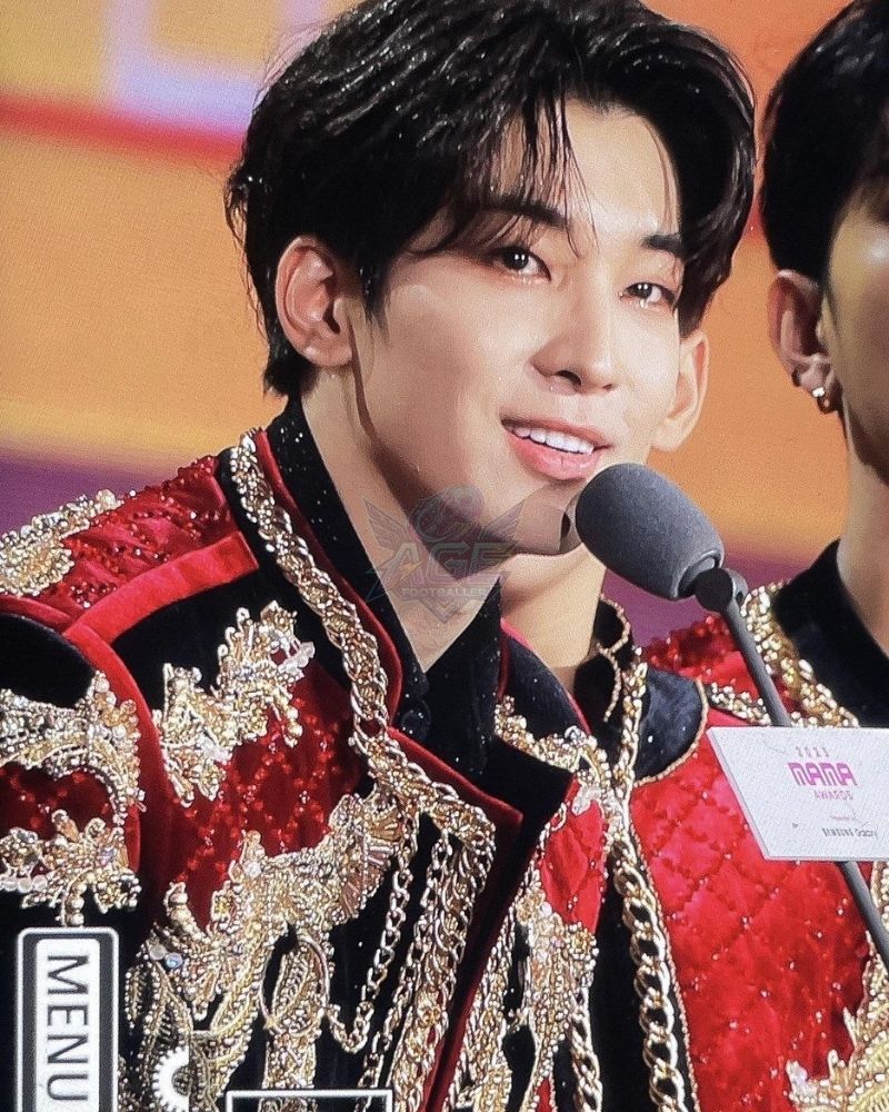 Wonwoo Career