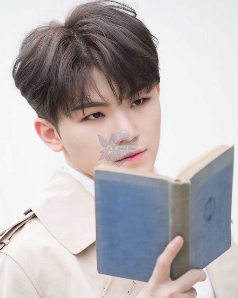 Woozi Career