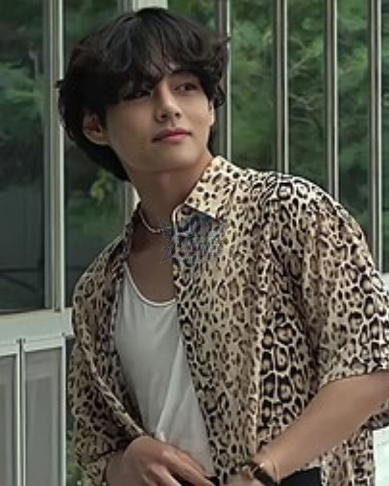 V Net Worth